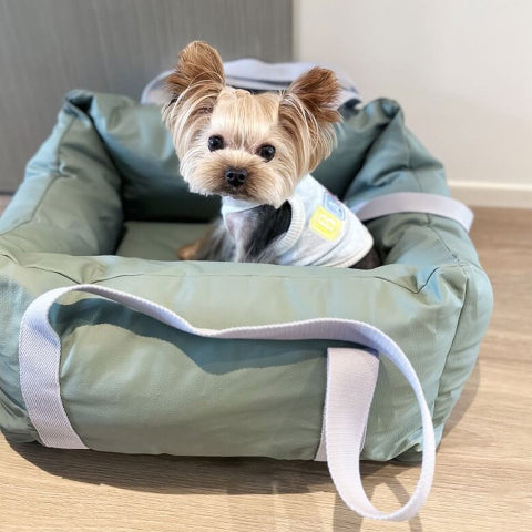 Bilpute for hund – Beskyttelse og mykhet på veien