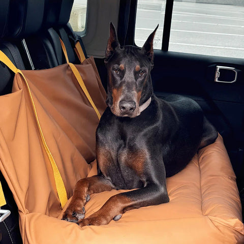 Bilpute for hund – Beskyttelse og mykhet på veien