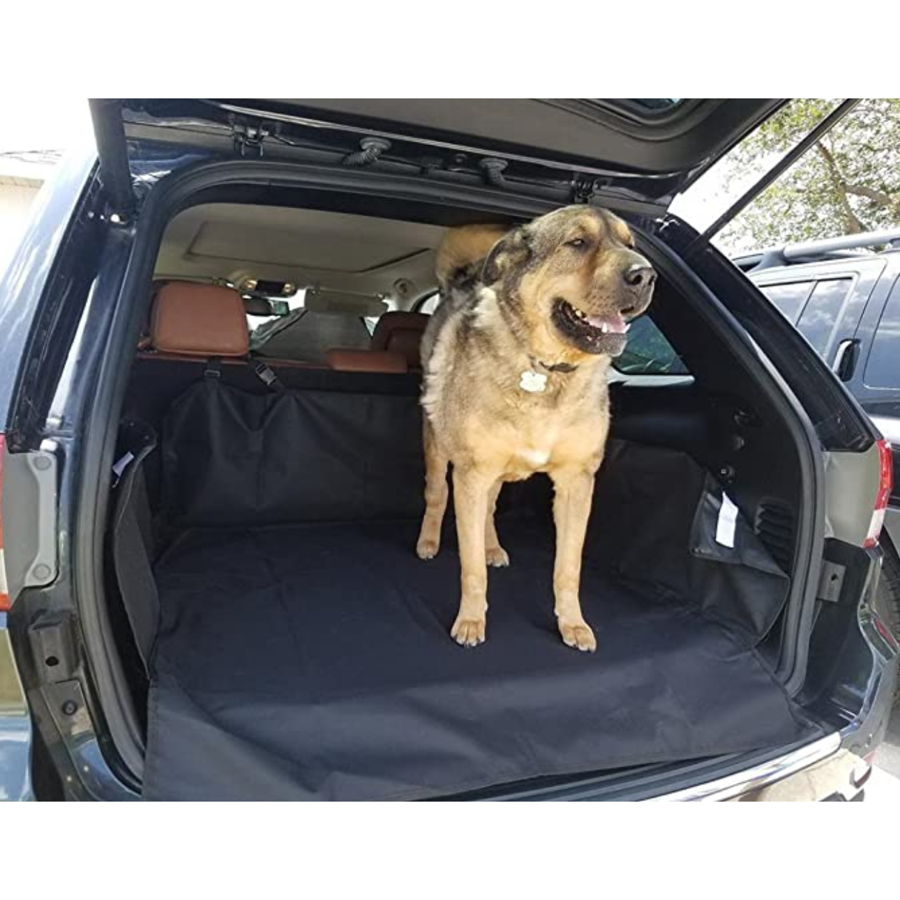 Protector de Cofre para Animales — Protección Completa y Duradera