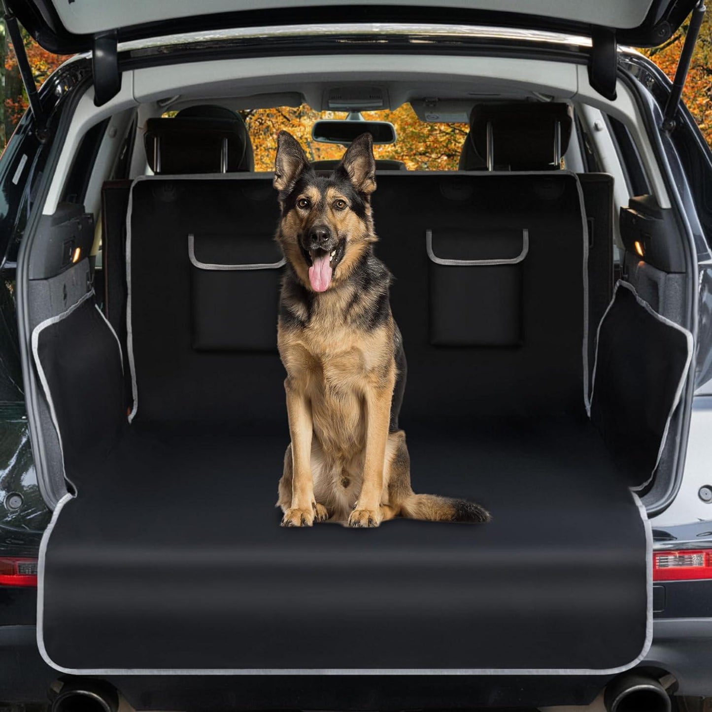Universell Hundeburbeskyttelse — Rent og Trygt Reise