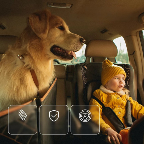 Κάλυμμα Καθίσματος Αυτοκινήτου Για Σκύλο — Άνεση & Ασφάλεια Στην Καθημερινότητα