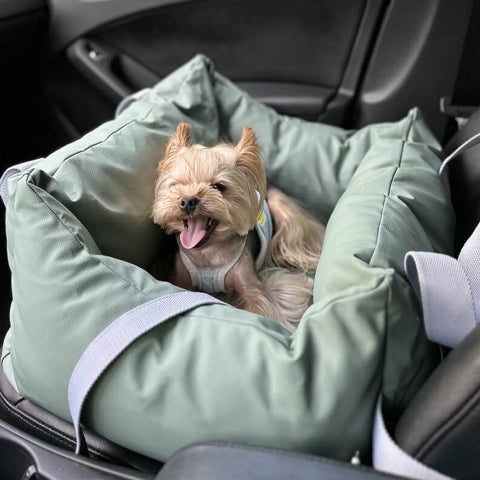 Cuscino Per Auto Per Cani – Protezione E Morbidezza In Viaggio 