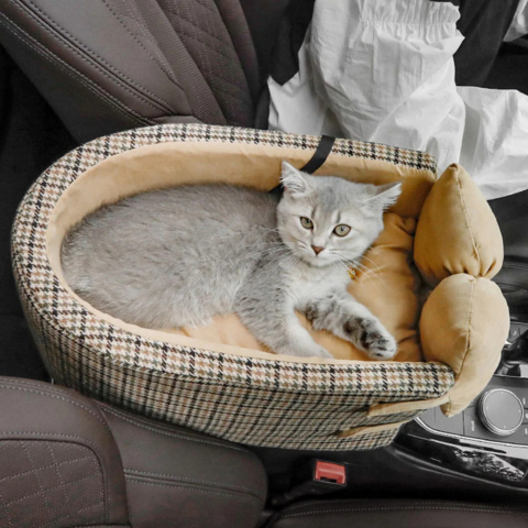 Reisebur for katt – Komfortabelt og sikkert 