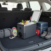 Mini Frigorifer și Încălzitor de Mese pentru Mașină — 2 în 1 Practic 