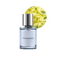 Aromatische Diffuser Voor Auto – Geur En Stijl 
