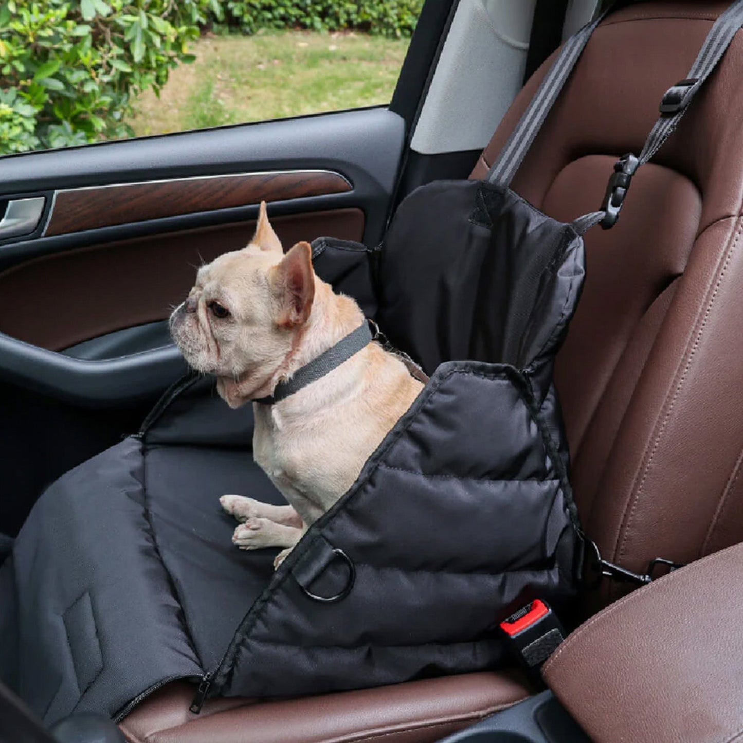 Bilkurv for hund – Komfort og sikkerhet på veien 