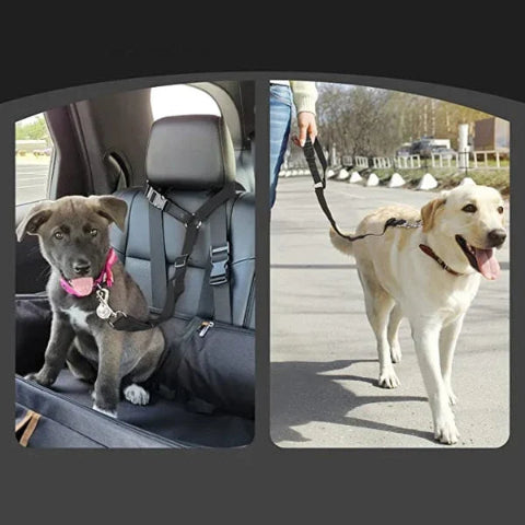 Verstelbare Veiligheidsriem Voor Hond – Speciaal Voor Auto 