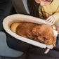Trasportino per Cani – Comfort e Stabilità in Auto 